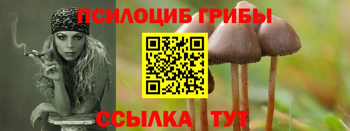наркота  Галлюциногенные грибы мицелий  Вход с VPN  Казань 
